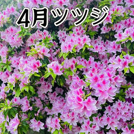 伊都山海渓 Itosima Kültér fotó