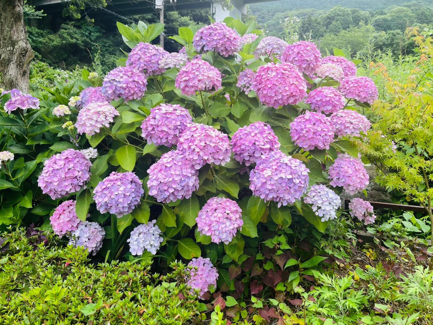 伊都山海渓 Itosima Kültér fotó