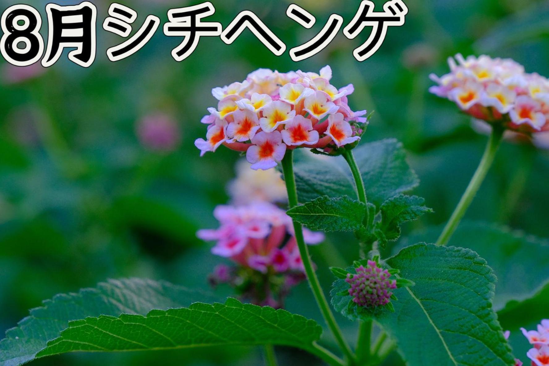 伊都山海渓 Itosima Kültér fotó