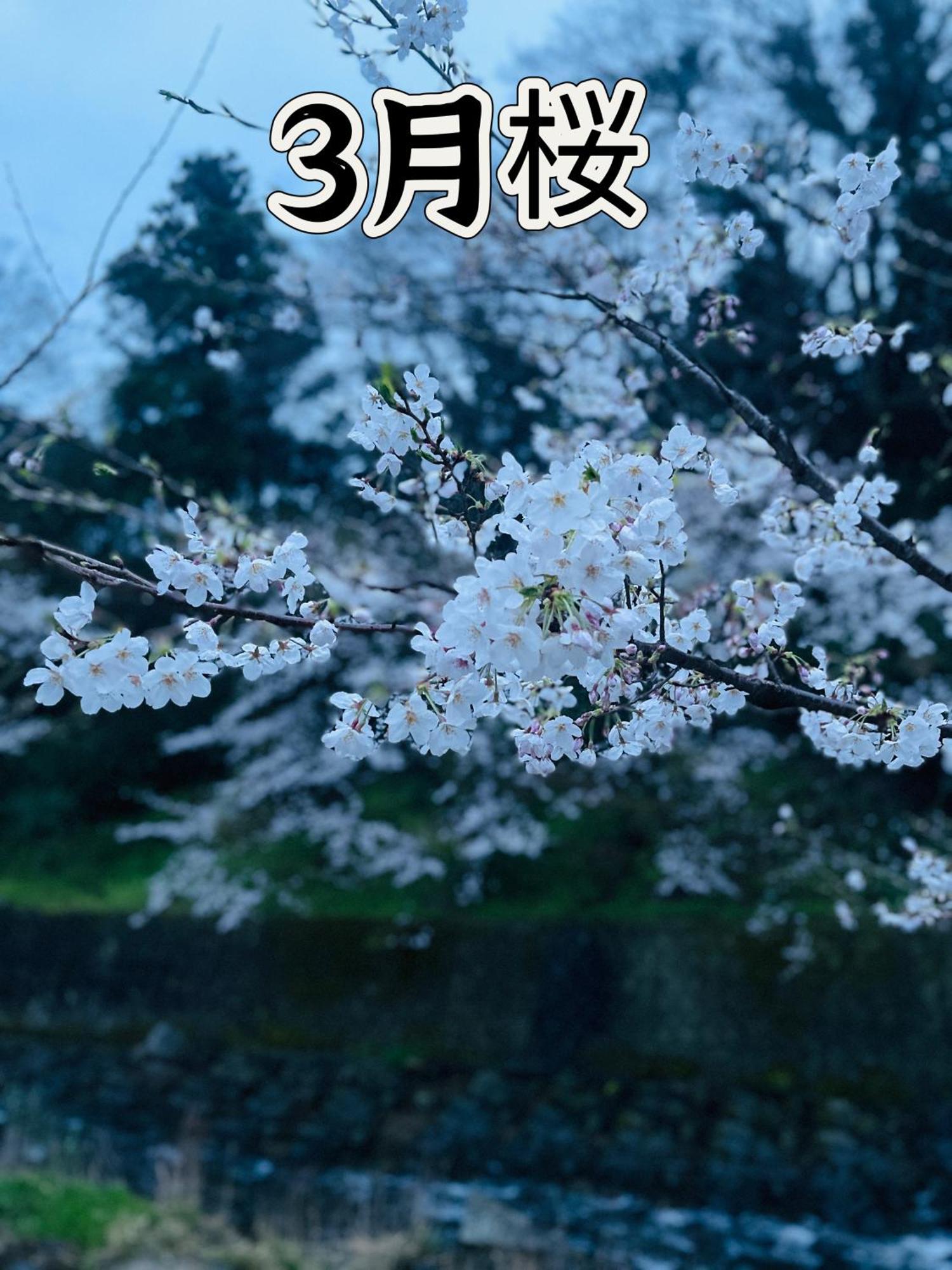 伊都山海渓 Itosima Kültér fotó