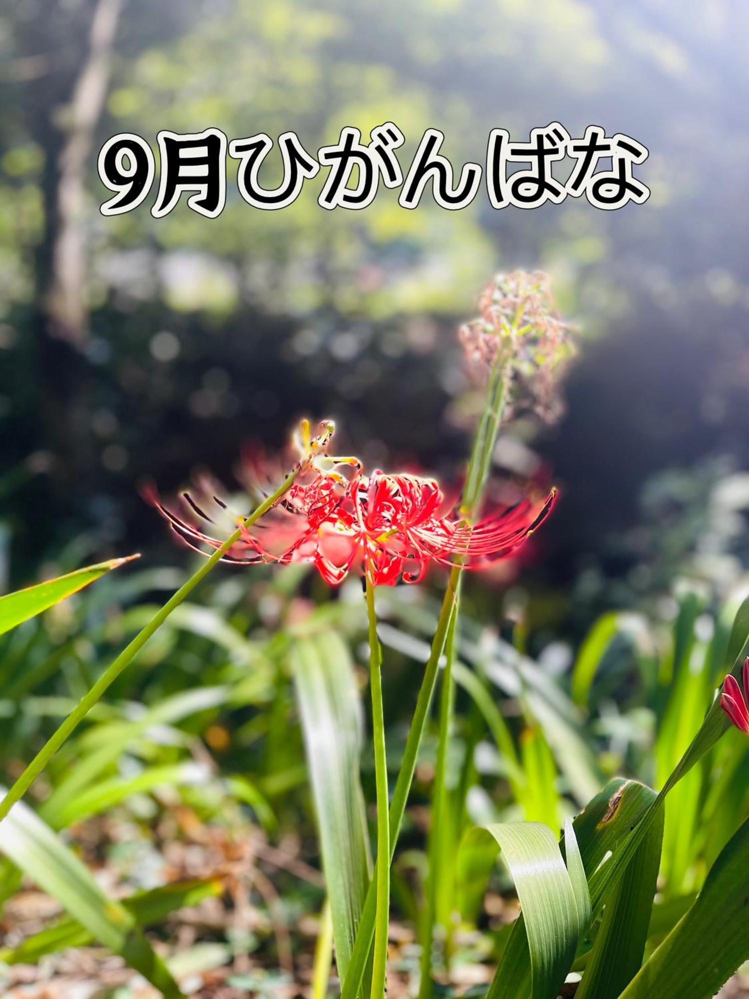 伊都山海渓 Itosima Kültér fotó
