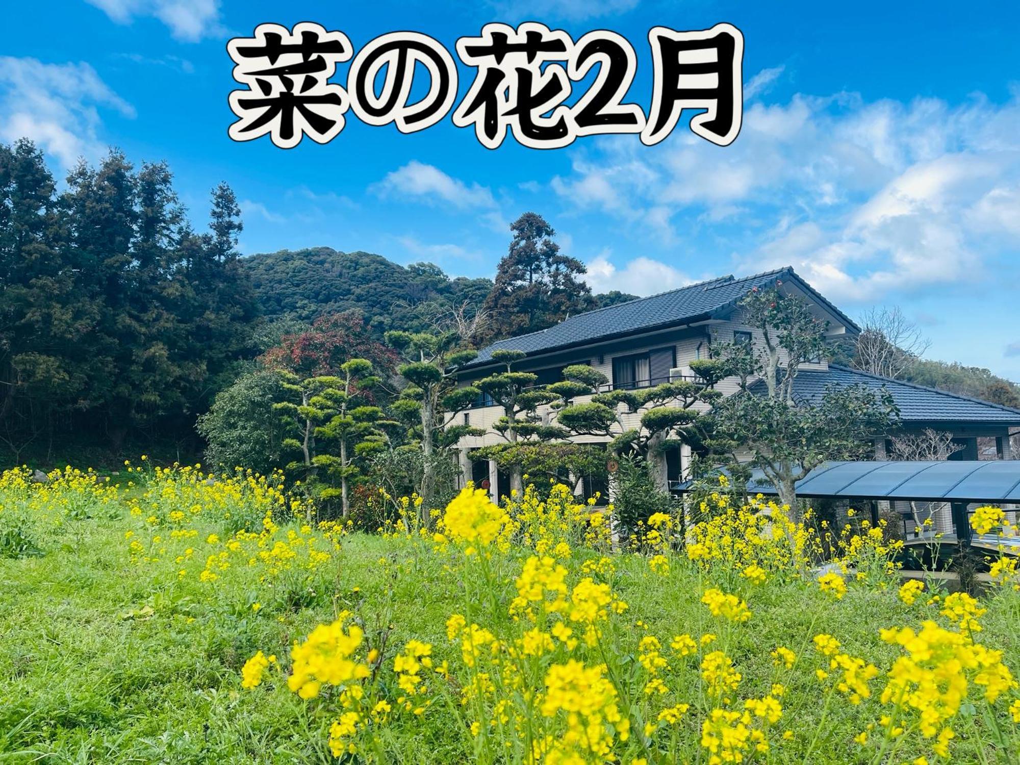 伊都山海渓 Itosima Kültér fotó